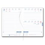 Diář DESIGN denní B5 2026 český - zelená - Golf muž