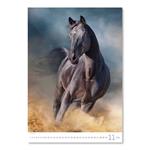 Nástěnný kalendář 2022 - Horses Dreaming