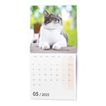 Nástěnný kalendář 2022 Kočky