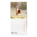 Nástěnný kalendář 2022 Koně