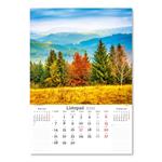 Nástěnný kalendář 2022 - Naše příroda