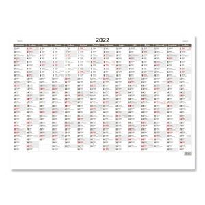 Nástěnný kalendář 2022 - Plánovací roční mapa A1 bezobrázková