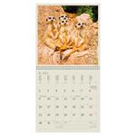 Nástěnný kalendář 2023 - Animal Friends
