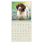 Nástěnný kalendář 2023 - Dogs