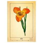 Nástěnný kalendář 2023 - Herbarium