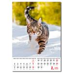 Nástěnný kalendář 2023 - Kočičky/Mačičky