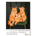 Nástěnný kalendář 2023 - Kočičky/Mačičky