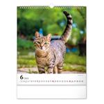Nástěnný kalendář 2023 Kočky