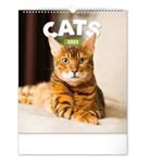 Nástěnný kalendář 2023 Kočky