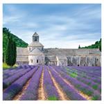Nástěnný kalendář 2023 - Provence