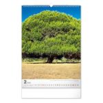 Nástěnný kalendář 2023 Stromy