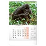 Nástěnný kalendář 2023 Za Zvířaty do divočiny