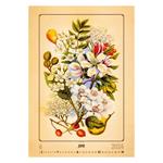 Nástěnný kalendář 2024 - Herbarium