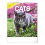 Nástěnný kalendář 2024 Kočky
