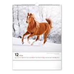 Nástěnný kalendář 2024 Koně