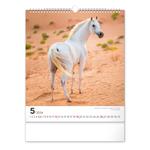 Nástěnný kalendář 2024 Koně