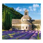 Nástěnný kalendář 2024 Kravata - Provence