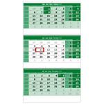 Nástěnný kalendář 2024 - Trojmesačný kalendár zelený so špirálou
