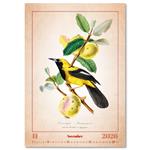 Nástěnný kalendář 2026 - Aviarium