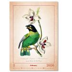 Nástěnný kalendář 2026 - Aviarium