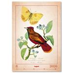 Nástěnný kalendář 2026 - Aviarium