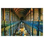 Nástěnný kalendář 2026 - Bibliotheca