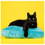 Nástěnný kalendář 2026 - Cats