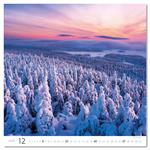 Nástěnný kalendář 2026 - Forest/Wald/Les