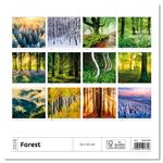Nástěnný kalendář 2026 - Forest/Wald/Les