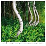 Nástěnný kalendář 2026 - Forest/Wald/Les