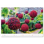 Nástěnný kalendář 2026 - Gardens