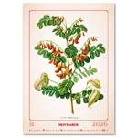 Nástěnný kalendář 2026 - Herbarium