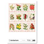 Nástěnný kalendář 2026 - Herbarium