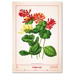 Nástěnný kalendář 2026 - Herbarium