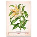Nástěnný kalendář 2026 - Herbarium