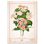 Nástěnný kalendář 2026 - Herbarium