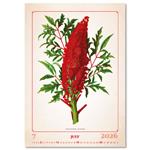 Nástěnný kalendář 2026 - Herbarium