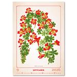 Nástěnný kalendář 2026 - Herbarium