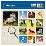 Nástěnný kalendář 2026 - Horses