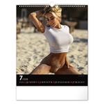 Nástěnný kalendář 2026 Hot Girls
