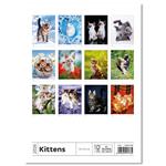 Nástěnný kalendář 2026 - Kittens/Katzenbabys/Koťátka/Mačičky
