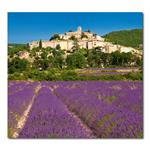 Nástěnný kalendář 2026 Kravata - Provence