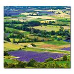 Nástěnný kalendář 2026 Kravata - Provence