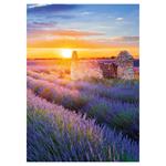 Nástěnný kalendář 2026 Provence