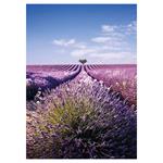Nástěnný kalendář 2026 Provence