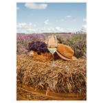 Nástěnný kalendář 2026 Provence