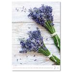 Nástěnný kalendář 2026 - Provence