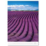 Nástěnný kalendář 2026 - Provence