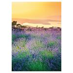 Nástěnný kalendář 2026 Provence