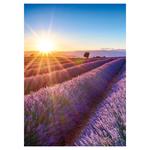 Nástěnný kalendář 2026 Provence